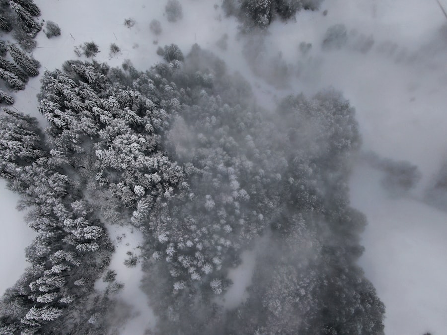 Photo snowball vs avalanche